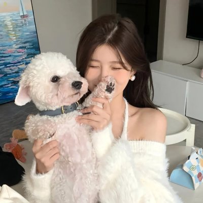 何加加的桃花源记